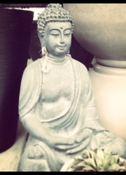 buddha